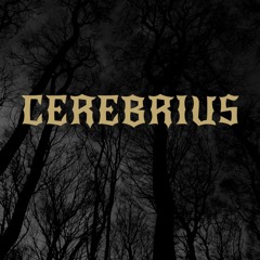 Cerebrius