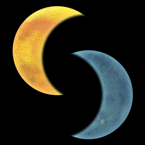 lunari’s avatar