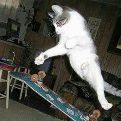 mat