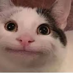 Nyaranox🐱
