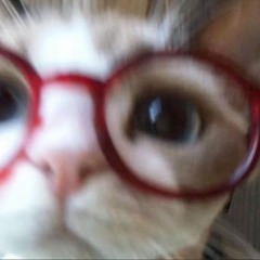https://pdf.421_exe