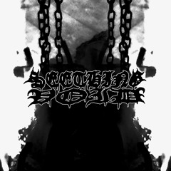 SEETHINGVOID