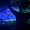 maali_888_