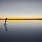 Conor Elston