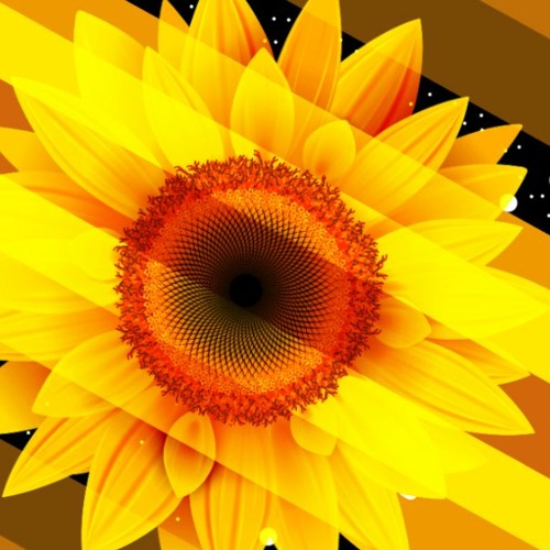 sunflower’s avatar