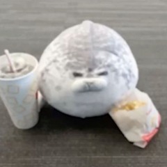 andy. n