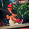$INO BUGGATTI