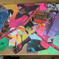 DESERT ORCHESTRAS (eve risser)