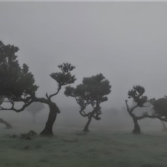 Братик-Лил Кристи