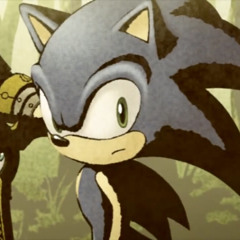 Justcallmesonic24