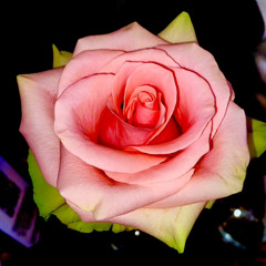 Rebel Kitty Kunzite The Glitter Alchemist