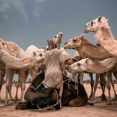 محمد بن يحيى العيسىٰ