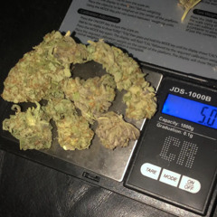 N1CKSPLIFF 🏚