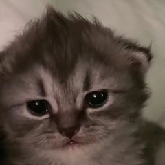 blkw