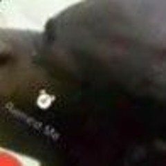 libanner