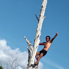 David Chavez 96