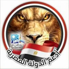 المستشار محمود السيد