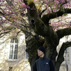 Y.ung.Lo