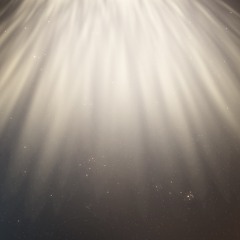 The Brightness Round About It