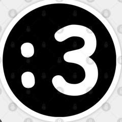 S3T