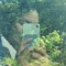 Whyuloveme