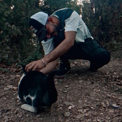 ᴬᵐⁱʳ ᴹᵃʰᵈⁱ