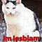 I_am_the_bitches