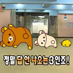 미요마요