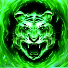 tiger power