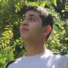 Amir Hosein Sofi
