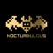 Nocturbulous Records