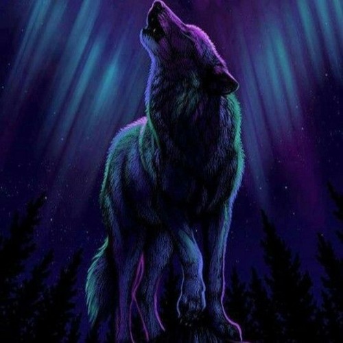 alpha wolf’s avatar
