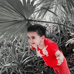 Manal Brisha