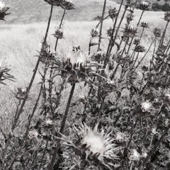 Заплетай судьбине косы