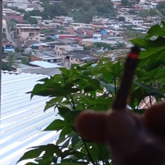 eoguina😤
