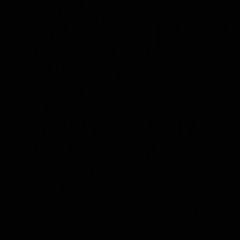 yanif - lie (archive)