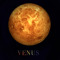VENUS MS