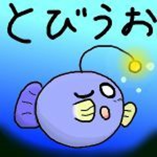FC故郷の星が映る海