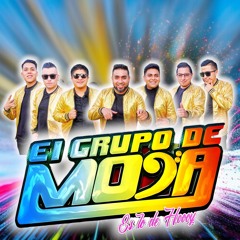 Clasicos de la Electronica