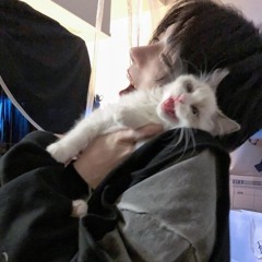 にゃんたべ