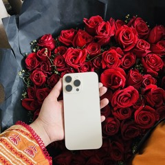 ثناء ناظم