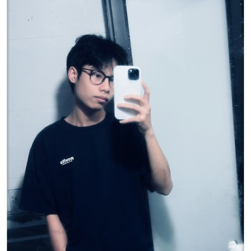 Phạm Minh Hoàng artist photo