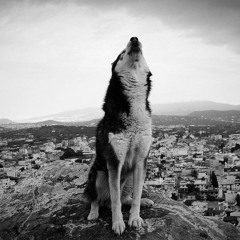 Georgi🇬🇷✝️