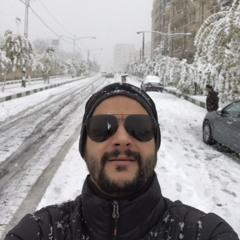 Reza Taghipour
