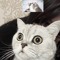 mel_liie