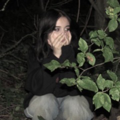 liksssr