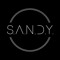 S.A.N.D.Y.