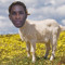 SwankGoat
