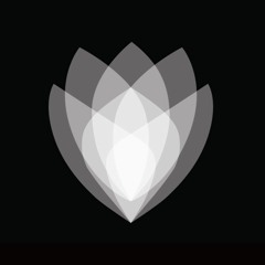 OpenSeed