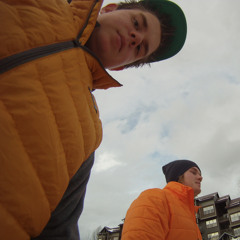 BOLO BOIS